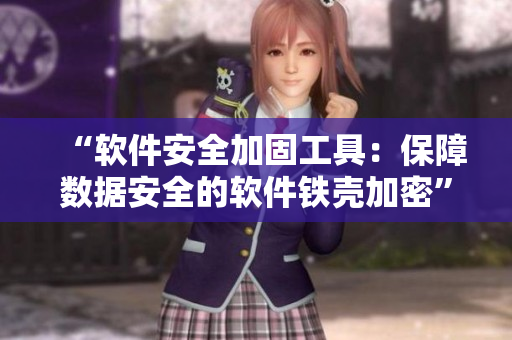 “软件安全加固工具：保障数据安全的软件铁壳加密”