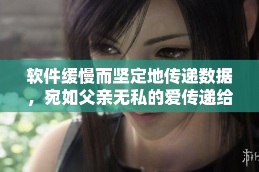 软件缓慢而坚定地传递数据，宛如父亲无私的爱传递给女儿