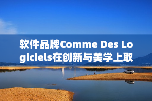 软件品牌Comme Des Logiciels在创新与美学上取得突破