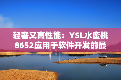 轻奢又高性能：YSL水蜜桃8652应用于软件开发的最佳选择