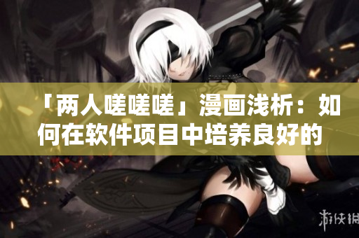 「两人嗟嗟嗟」漫画浅析：如何在软件项目中培养良好的沟通与合作能力