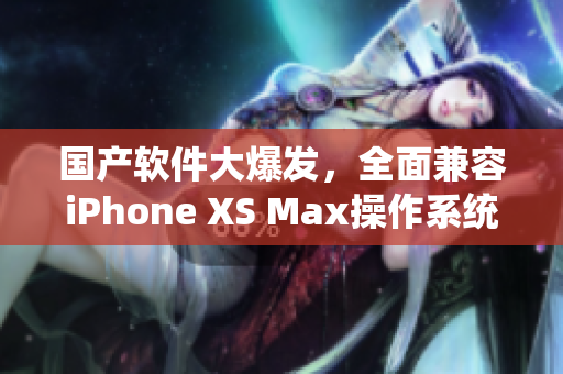 国产软件大爆发，全面兼容iPhone XS Max操作系统！