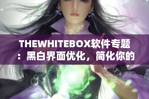 THEWHITEBOX软件专题：黑白界面优化，简化你的操作