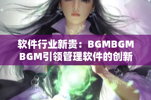 软件行业新贵：BGMBGMBGM引领管理软件的创新和卓越，价格实惠！