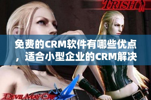 免费的CRM软件有哪些优点，适合小型企业的CRM解决方案