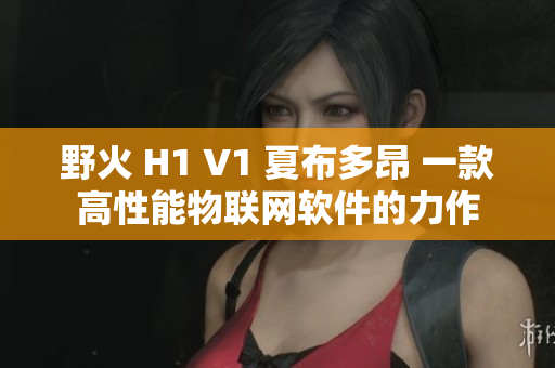 野火 H1 V1 夏布多昂 一款高性能物联网软件的力作