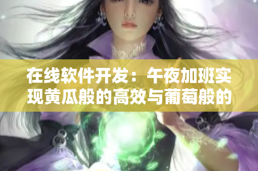 在线软件开发：午夜加班实现黄瓜般的高效与葡萄般的稳定