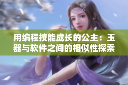 用编程技能成长的公主：玉器与软件之间的相似性探索