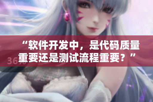 “软件开发中，是代码质量重要还是测试流程重要？”