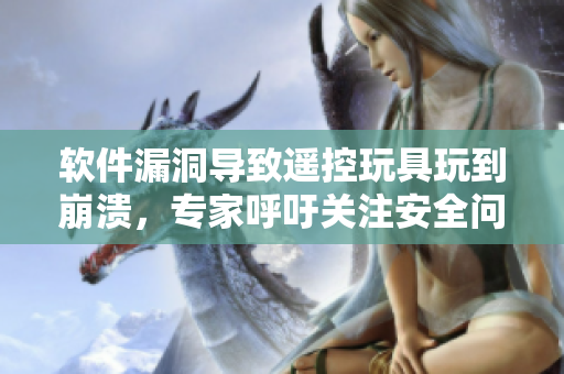 软件漏洞导致遥控玩具玩到崩溃，专家呼吁关注安全问题
