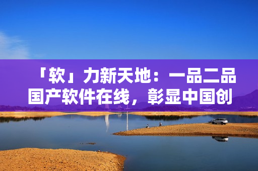 「软」力新天地：一品二品国产软件在线，彰显中国创新实力！