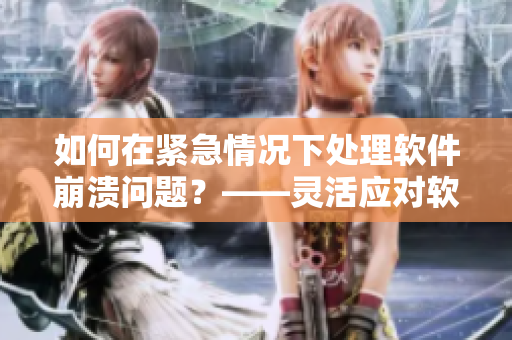 如何在紧急情况下处理软件崩溃问题？——灵活应对软件故障的技巧