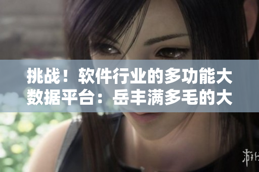 挑战！软件行业的多功能大数据平台：岳丰满多毛的大隂户
