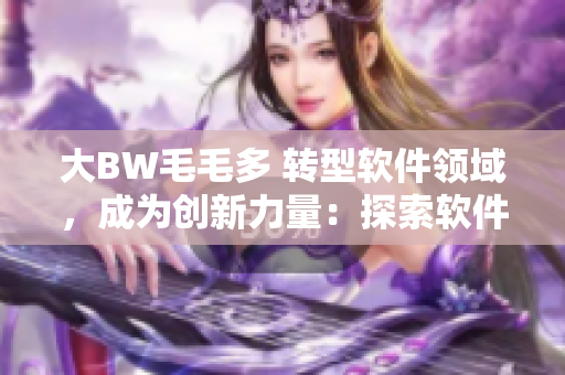 大BW毛毛多 转型软件领域，成为创新力量：探索软件新市场的成功经验