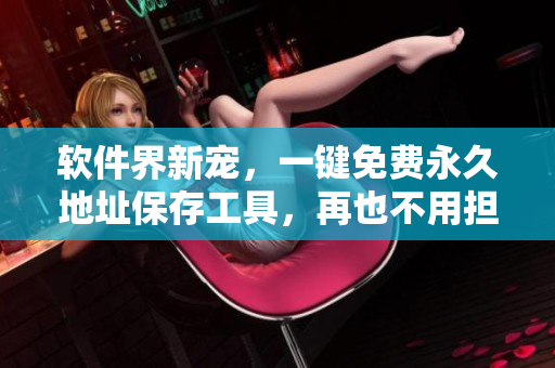 软件界新宠，一键免费永久地址保存工具，再也不用担心迷路！