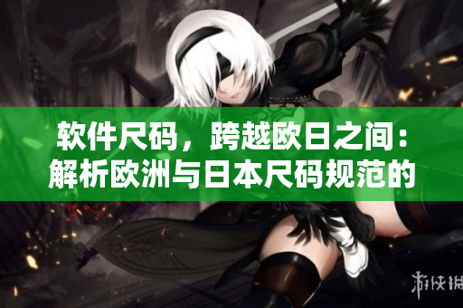 软件尺码，跨越欧日之间：解析欧洲与日本尺码规范的奥秘
