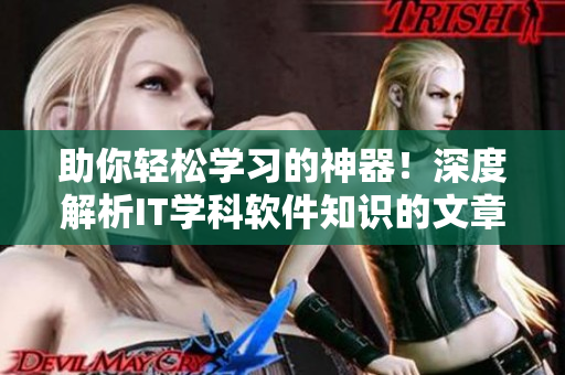 助你轻松学习的神器！深度解析IT学科软件知识的文章