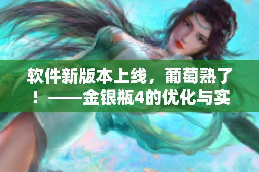 软件新版本上线，葡萄熟了！——金银瓶4的优化与实现