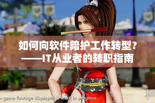 如何向软件陪护工作转型？——IT从业者的转职指南
