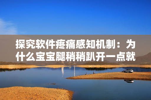 探究软件疼痛感知机制：为什么宝宝腿稍稍趴开一点就可以避免疼痛？