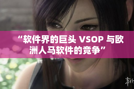 “软件界的巨头 VSOP 与欧洲人马软件的竞争”