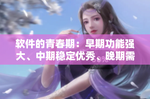 软件的青春期：早期功能强大、中期稳定优秀、晚期需要升级？