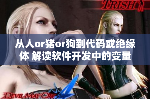 从人or猪or狗到代码或绝缘体 解读软件开发中的变量类型
