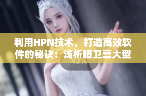 利用HPN技术，打造高效软件的秘诀：浅析暗卫营大型软件。