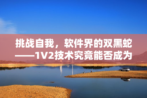 挑战自我，软件界的双黑蛇——1V2技术究竟能否成为新宠？