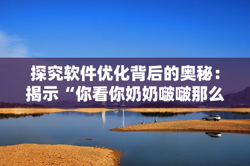 探究软件优化背后的奥秘：揭示“你看你奶奶啵啵那么大”歌曲背后的技术解析