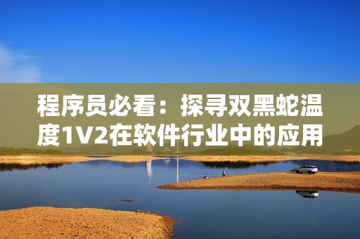 程序员必看：探寻双黑蛇温度1V2在软件行业中的应用和优势