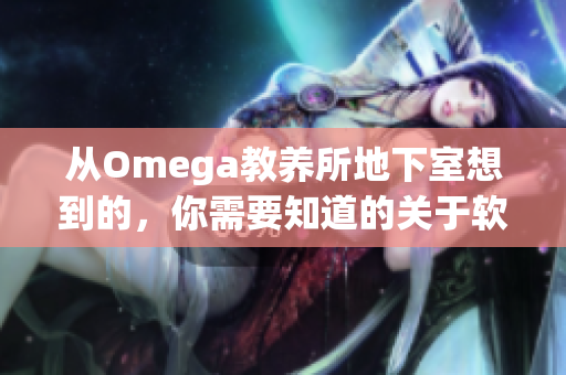 从Omega教养所地下室想到的，你需要知道的关于软件的真相