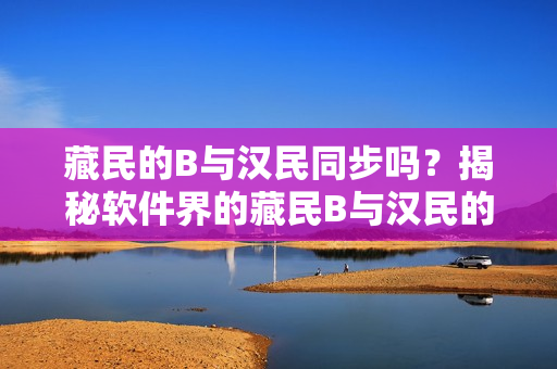 藏民的B与汉民同步吗？揭秘软件界的藏民B与汉民的异同