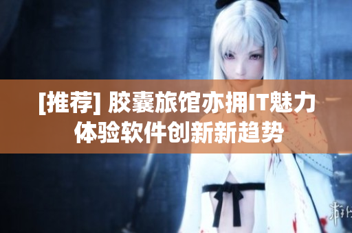 [推荐] 胶囊旅馆亦拥IT魅力 体验软件创新新趋势