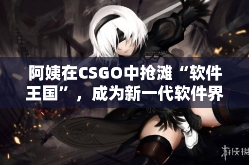 阿姨在CSGO中抢滩“软件王国”，成为新一代软件界“老大娘”