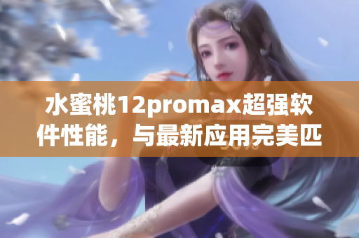 水蜜桃12promax超强软件性能，与最新应用完美匹配