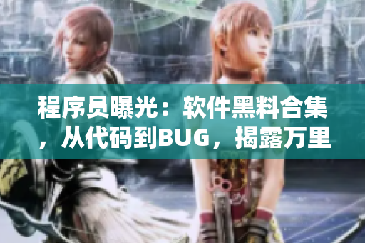 程序员曝光：软件黑料合集，从代码到BUG，揭露万里长征