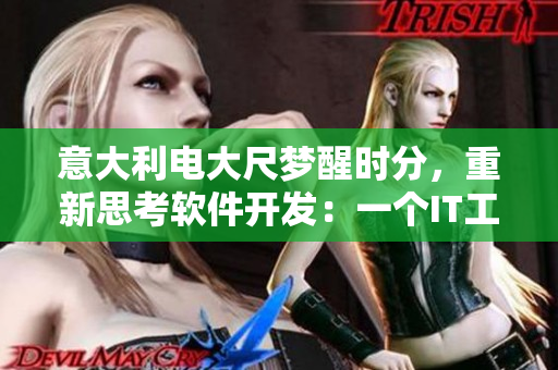 意大利电大尺梦醒时分，重新思考软件开发：一个IT工作者的启示