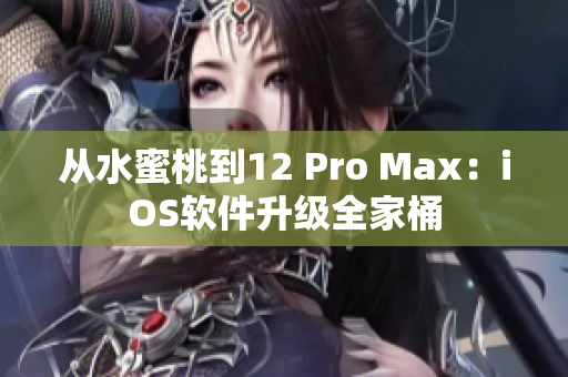 从水蜜桃到12 Pro Max：iOS软件升级全家桶