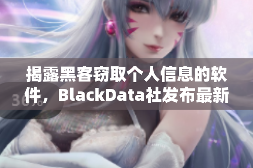 揭露黑客窃取个人信息的软件，BlackData社发布最新报告