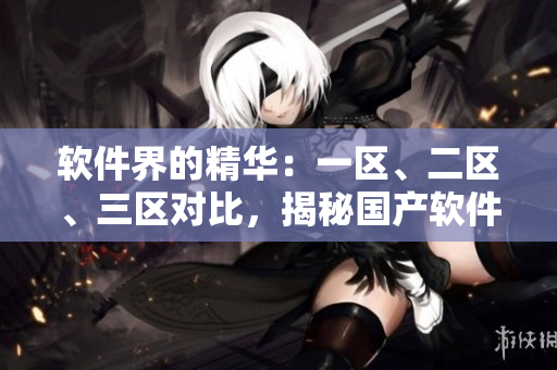 软件界的精华：一区、二区、三区对比，揭秘国产软件液的独特之处
