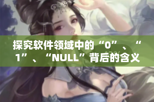 探究软件领域中的“0”、“1”、“NULL”背后的含义与作用