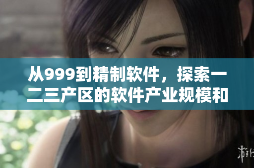从999到精制软件，探索一二三产区的软件产业规模和地位