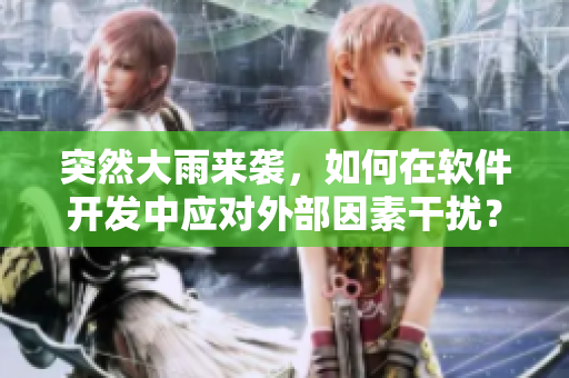 突然大雨来袭，如何在软件开发中应对外部因素干扰？