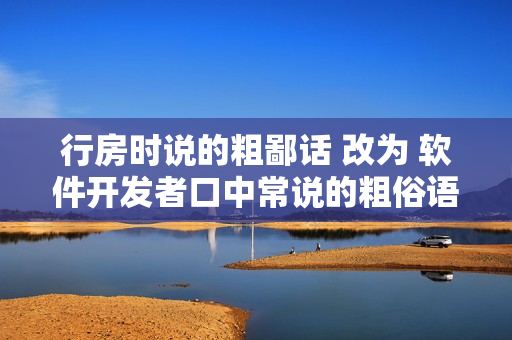 行房时说的粗鄙话 改为 软件开发者口中常说的粗俗语