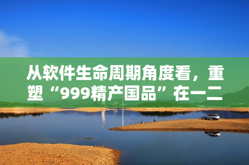 从软件生命周期角度看，重塑“999精产国品”在一二三产区的应用