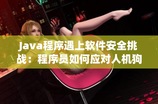 Java程序遇上软件安全挑战：程序员如何应对人机狗大战