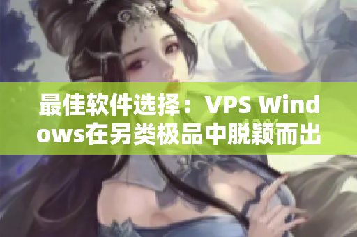 最佳软件选择：VPS Windows在另类极品中脱颖而出