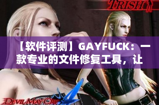 【软件评测】GAYFUCK：一款专业的文件修复工具，让您的文件恢复重生