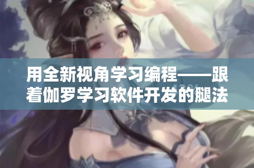 用全新视角学习编程——跟着伽罗学习软件开发的腿法教学视频